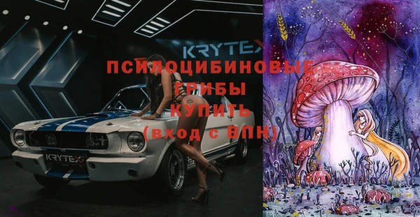 дурь Елабуга