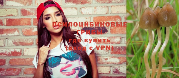 дурь Елабуга