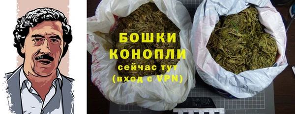 дурь Елабуга