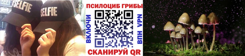 Купить где  Зеленокумск  Галлюциногенные грибы Psilocybe 