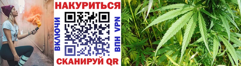 Бошки марихуана Amnesia  Купить закладки  Зеленокумск 